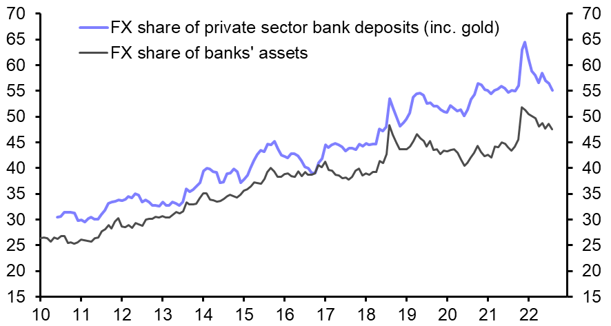 “Lira-isation” policies are no cure for Turkey’s problems
