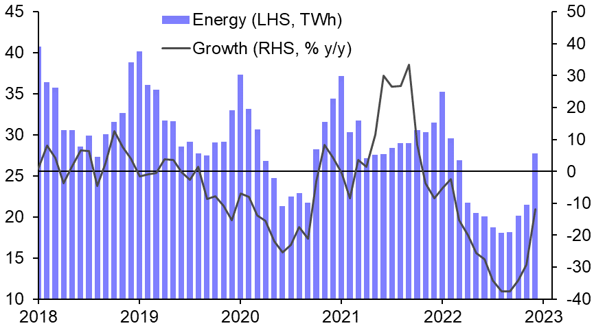 French nuclear won’t reduce EU gas demand 
