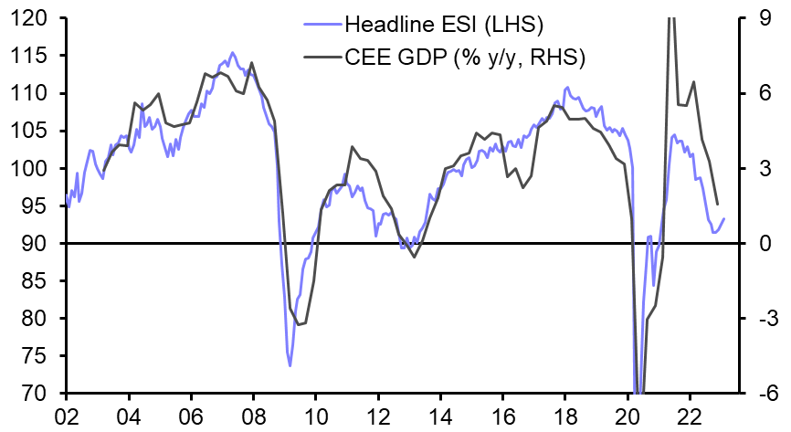 Economic Sentiment Indicators (Feb.)
