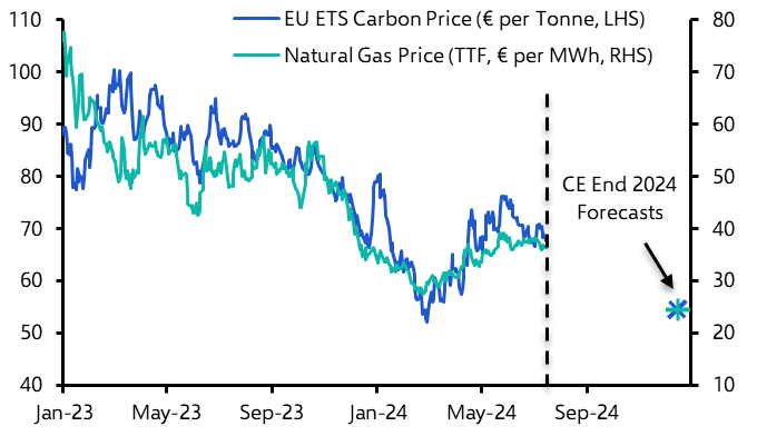 EU carbon price has further to fall
