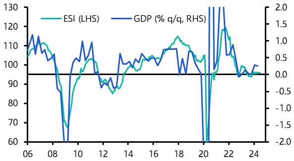 Euro-zone GDP (Q2) &amp; EC Survey (July)
