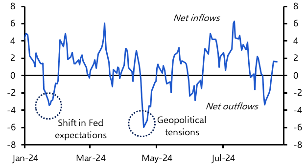 Emerging Markets Capital Flows Monitor (Aug. 2024)
