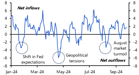 Emerging Markets Capital Flows Monitor (Sep. 2024)
