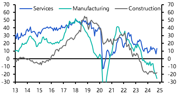 Germany Ifo Survey (October 2024)
