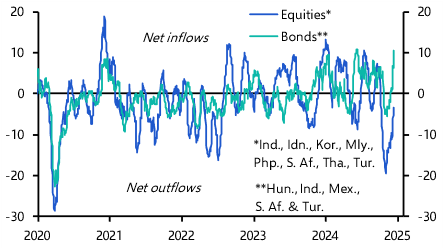 Emerging Markets Capital Flows Monitor (Dec. 2024)
