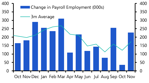 Employment Report (Nov. 2024)
