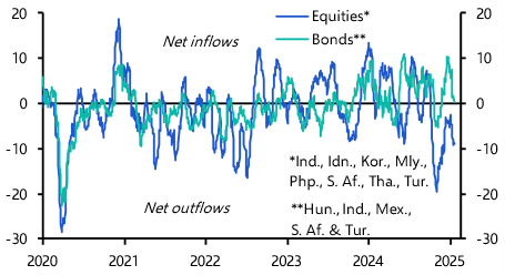 Emerging Markets Capital Flows Monitor (Jan. 2025)
