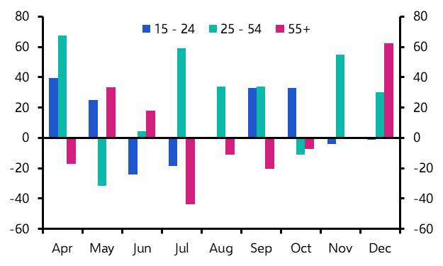 Labour Force Survey (Dec. 2024)
