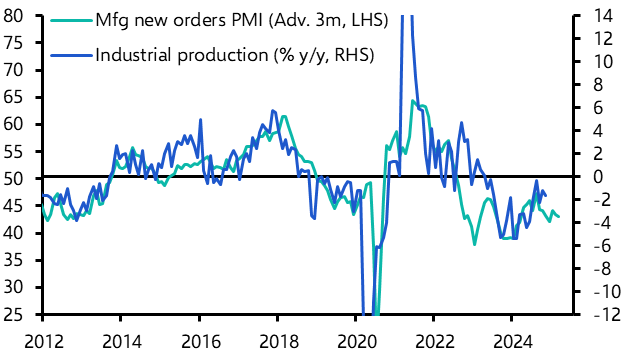 Euro-zone Industrial Production (November 2024)
