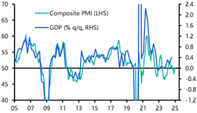 Euro-zone Flash PMIs (January 2025)
