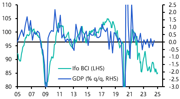 Germany Ifo Survey (January 2025)
