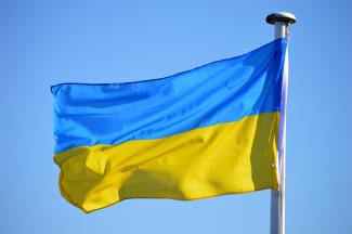 Ukraine flag