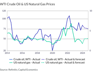 WTI Crude Oil & US Natural Gas Prices