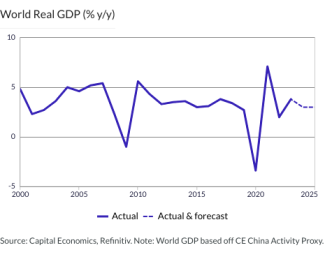 World Real GDP (% y/y)