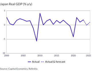 Japan Real GDP (% y/y)