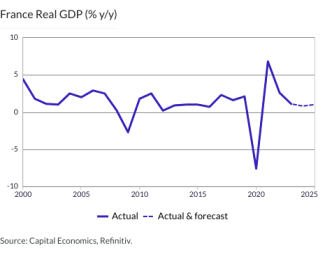 France Real GDP (% y/y)