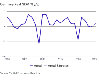 Germany Real GDP (% y/y)