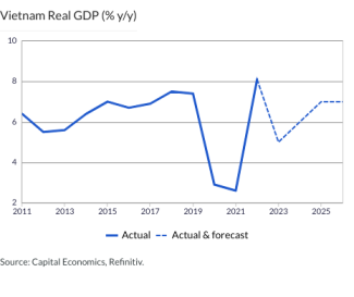 Vietnam Real GDP (% y/y)