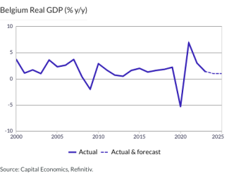 Belgium Real GDP (% y/y)