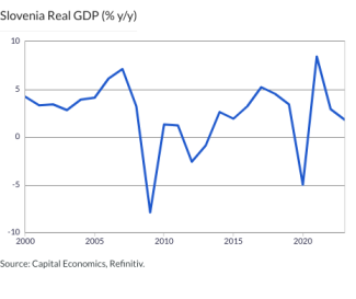 Slovenia Real GDP (% y/y)