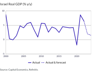 Israel Real GDP (% y/y)