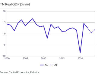 Tunisia Real GDP (% y/y)