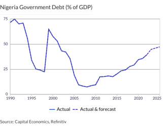 Nigeria Government Debt (% of GDP)