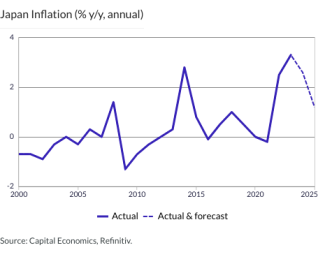 Japan Inflation (% y/y, annual)