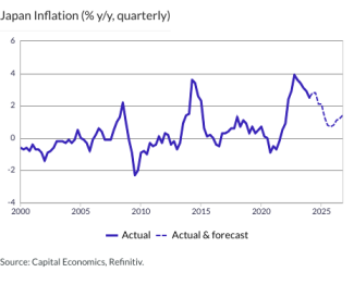 Japan Inflation (% y/y, quarterly)