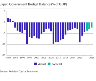 Japan Government Budget Balance (% of GDP)