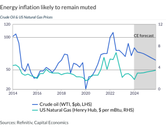 Energy inflation likely to remain muted