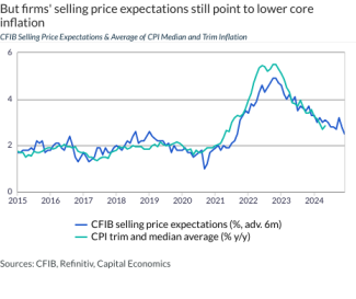 But firms' selling price expectations still point to lower core inflation