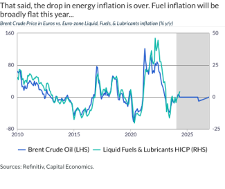 That said, the drop in energy inflation is over. Fuel inflation will be broadly flat this year...