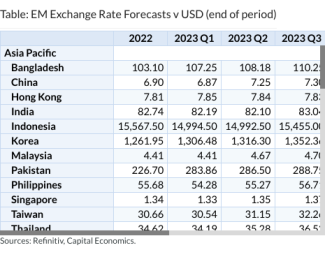 Table: EM Exchange Rate Forecasts v USD (end of period)