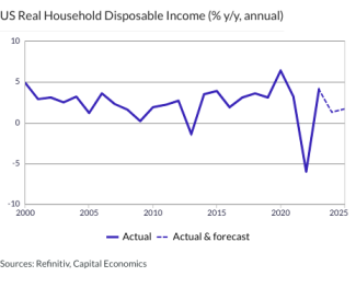 US Real Household Disposable Income (% y/y, annual)