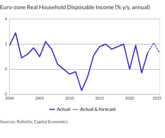 Euro-zone Real Household Disposable Income (% y/y, annual)