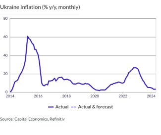 Ukraine Inflation (% y/y, monthly)