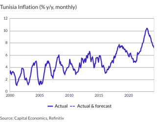 Tunisia Inflation (% y/y, monthly)