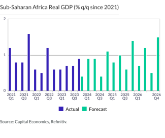 Sub-Saharan Africa Real GDP (% q/q since 2021)