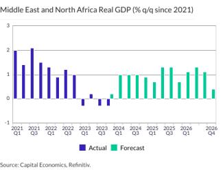 Middle East and North Africa Real GDP (% q/q since 2021)