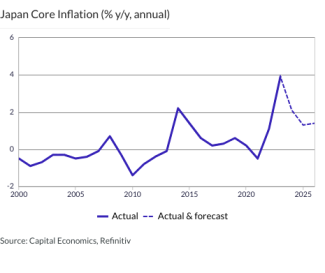 Japan Core Inflation (% y/y, annual)