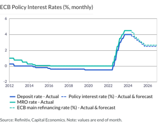 ECB Policy Interest Rates (%, monthly)