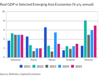 Real GDP in Selected Emerging Asia Economies (% y/y, annual)