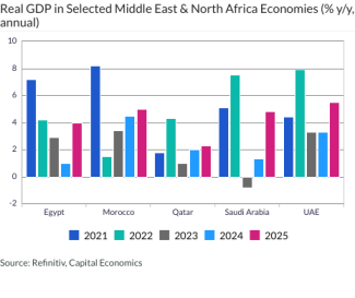 Real GDP in Selected Middle East & North Africa Economies (% y/y, annual)