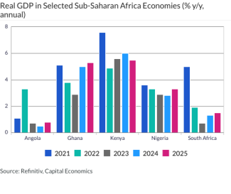 Real GDP in Selected Sub-Saharan Africa Economies (% y/y, annual)