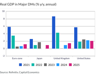 Real GDP in Major DMs (% y/y, annual)