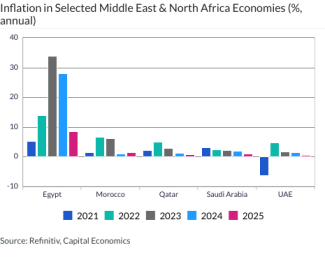 Inflation in Selected Middle East & North Africa Economies (%, annual)