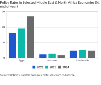 Policy Rates in Selected Middle East & North Africa Economies (%, end of year)