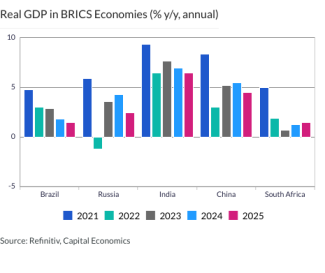 Real GDP in BRICS Economies (% y/y, annual)