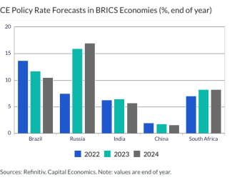 CE Policy Rate Forecasts in BRICS Economies (%, end of year)